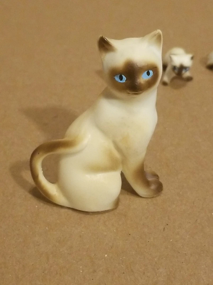 Miniature hotsell siamese cat