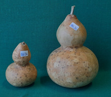 VECCHIA COPPIA ZUCCA ZUCCHE SARDEGNA ORNAMENTALI VINTAGE . BB34