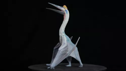 TNG Quetzalcoatlus Model Jurassic Dinosaur Animal Figure Toys Xmas Gift Decor - Picture 3 of 24