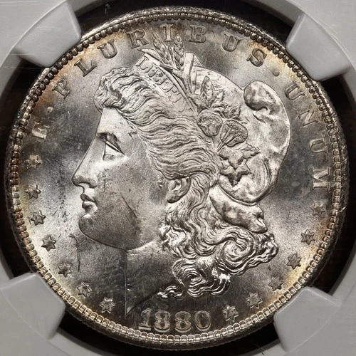 1880-S Morgan Dollar, NGC MS65 frosty blast white DKRC's DOLLAR DEAL WEDNESDAY!!