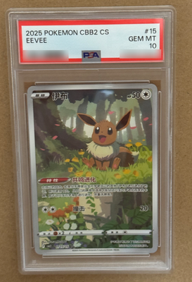 PSA 10 Pokemon Eevee Gem Pokemon Vol. 2 cbb2C Chinese Holo 01 15