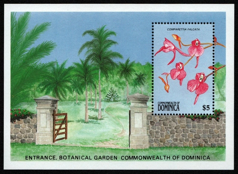 Dominica 1989 - Mi-Nr. Block 154 ** - MNH - Orchideen / Orchids - Bild 1 von 1