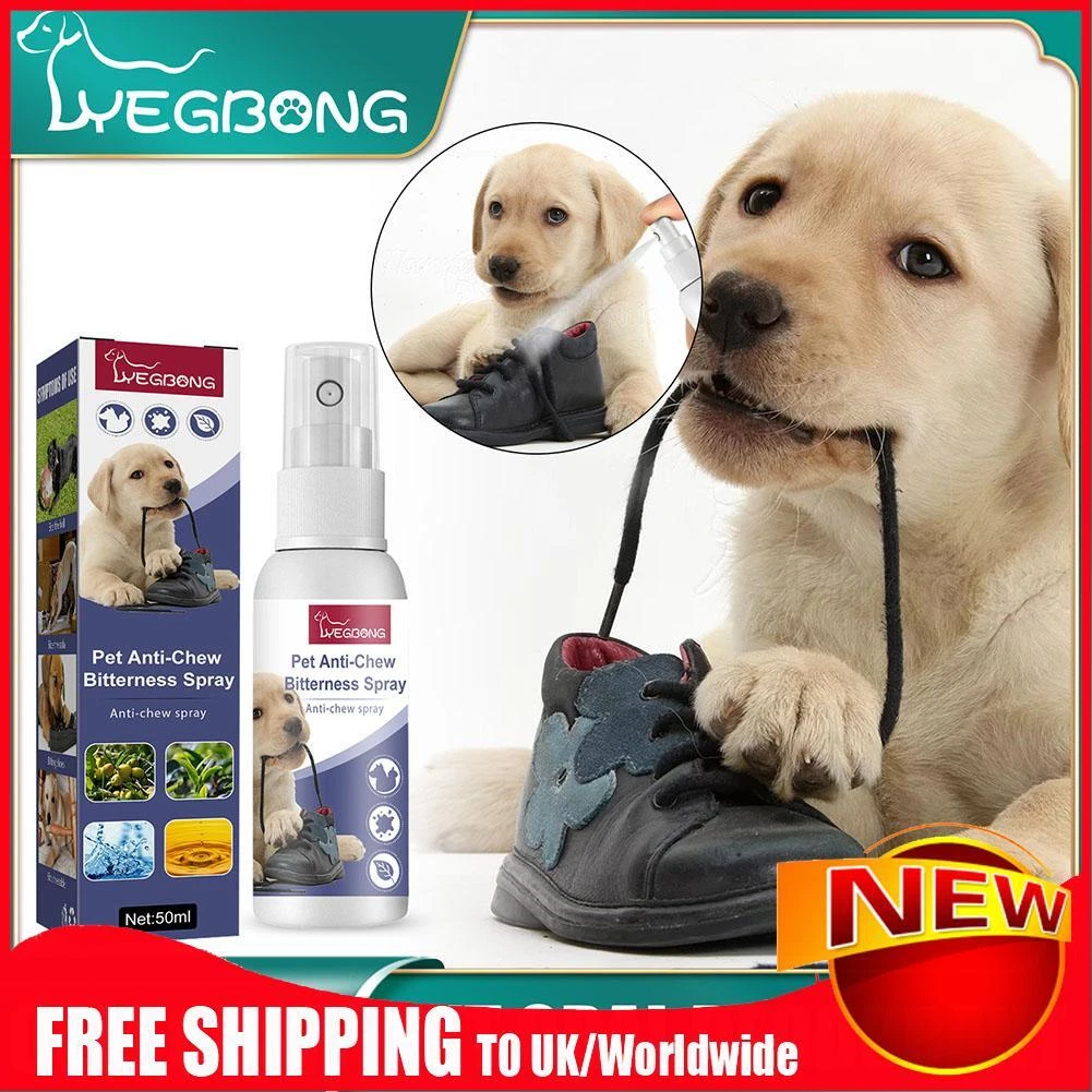 Dog scratching cheap sofa