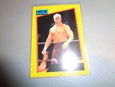 1991 Impel WCW Wrestling Trading Card #3 Sting