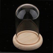 Wooden Glass Dome with Wooden Base Cloche Glass Cover Flower Vase Holder