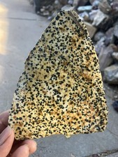 Dalmatian Stone Slab (end cut)
