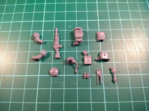 Death Korps of Krieg Veteran bits - Picture 5 of 15
