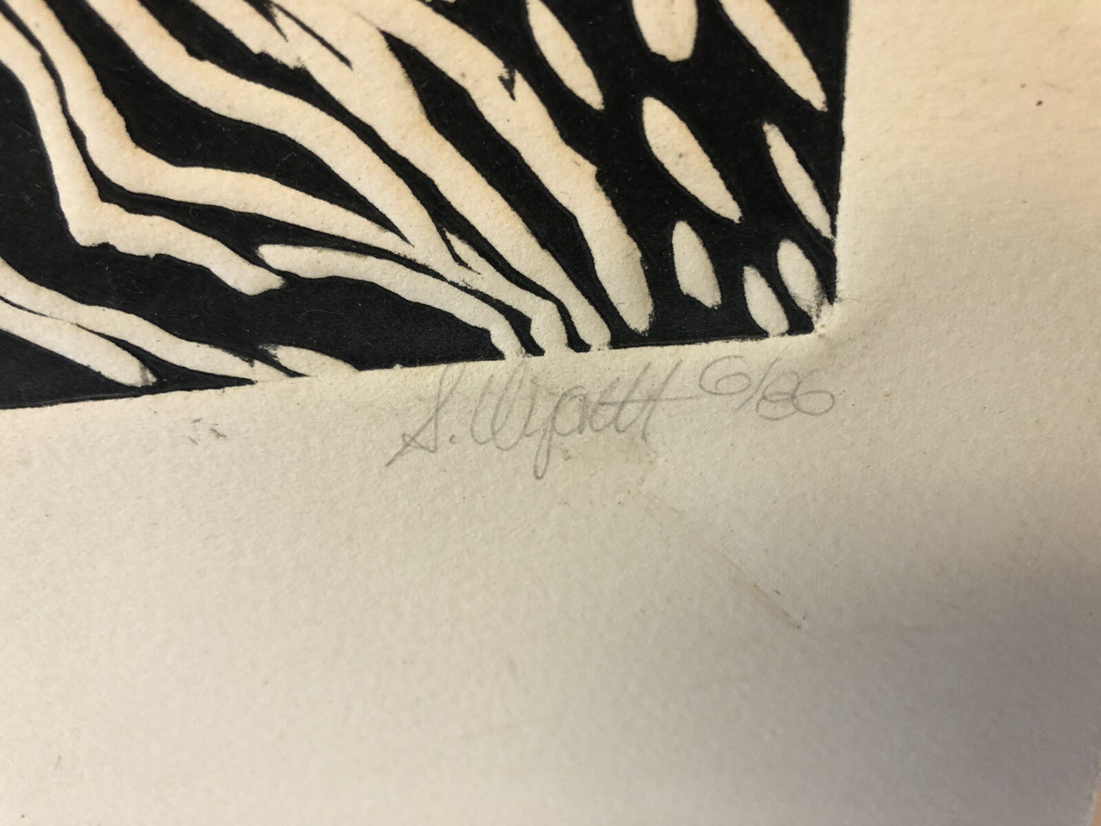 Picture 5 of 5