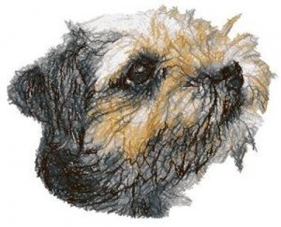 border terrier jacket