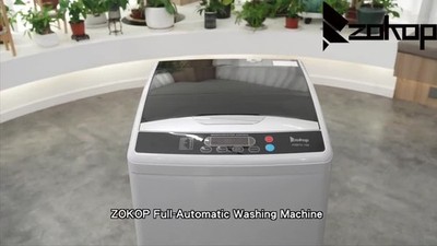 25LBS Portable Washing Machine, 2.3cu.ft Full-Automatic Electric