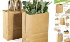  Small Kraft Bags with Handles - 12 Pcs Small Kraft Paper Bags Brown Bag Paper 
