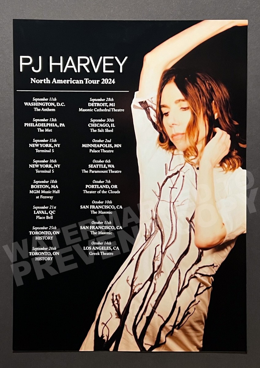 PJ Harvey 2024 Tour Concert Promo Poster | eBay