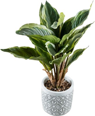 Artificial Dieffenbachia Leafy Plant in Gray Concrete Pot, Home Round Planter