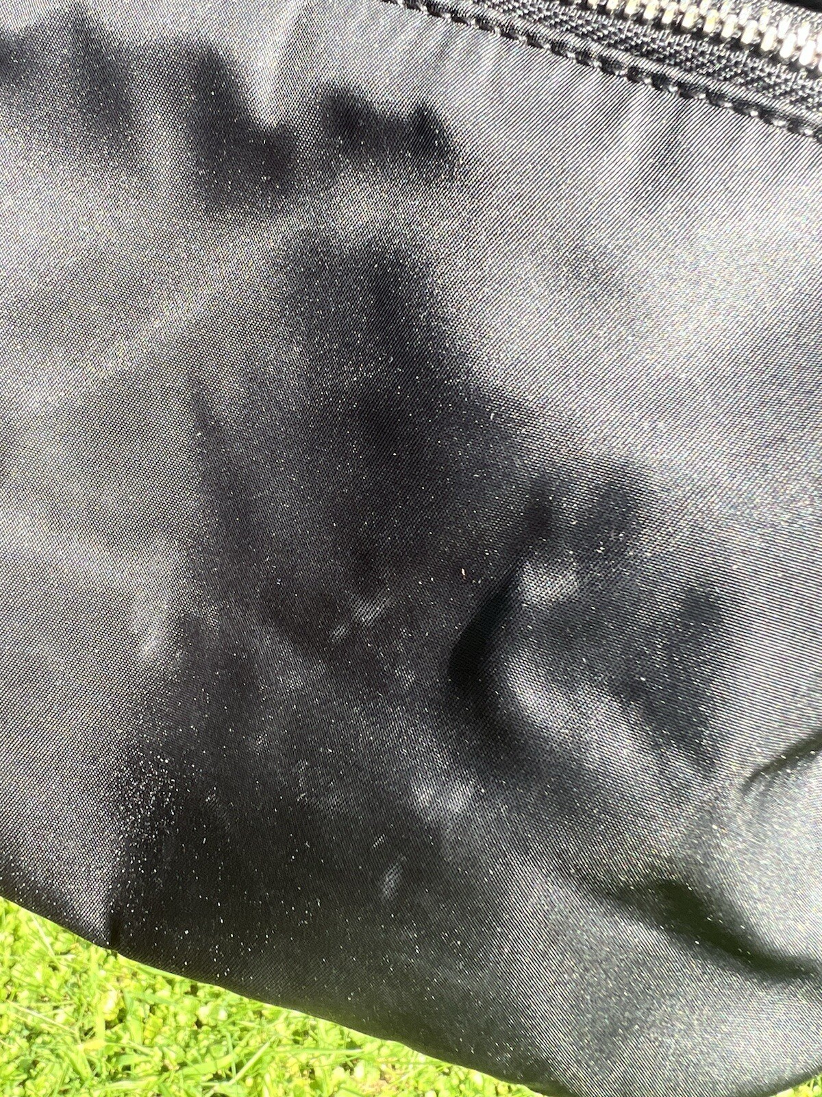 Picture 7 of 24