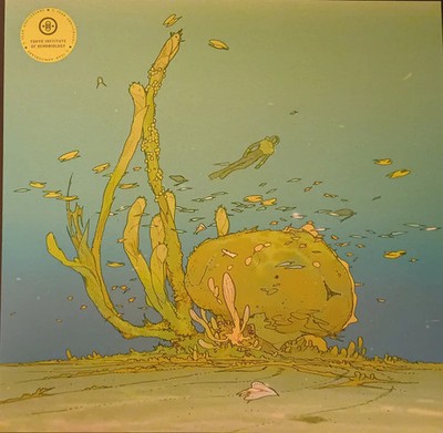 USED: Amos Roddy - In Other Waters O.S.T. (5 year anniversary edition) (12'', Ltd