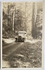 Antique Car Automobile Driving On Dirt Road Forest C1920s Rppc Postcard Antique Car Automobile Driving On Dirt Road Forest C1920s Rppc Postcard