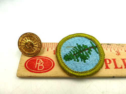 GOLD TONE NATIONAL SUMMERTIME AWARD CUB SCOUTING PIN + BADGE - Picture 5 of 5