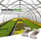 Protect Your Glass Panes with Greenhouse Glazing Clips Pack of 25/50/100