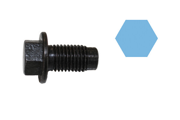 220070H CORTECO Sealing Plug, oil sump