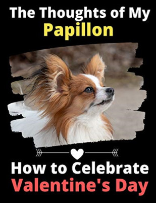 The Thoughts of My Papillon: How to Celebrate Valentine -  NEW Brightview Acti 2