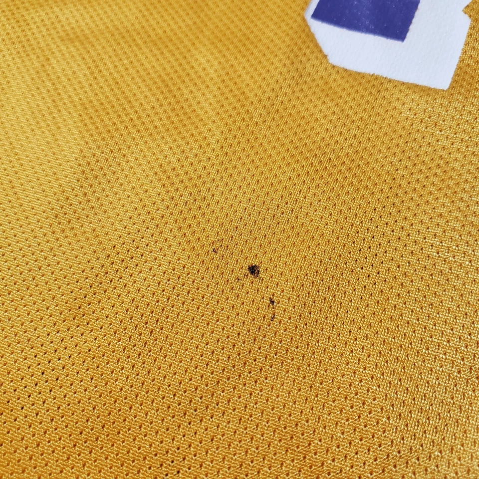 Vintage Dennis Rodman Jersey Youth Large 14-16 Los Angeles Lakers #73 Champion - Image 4 of 4