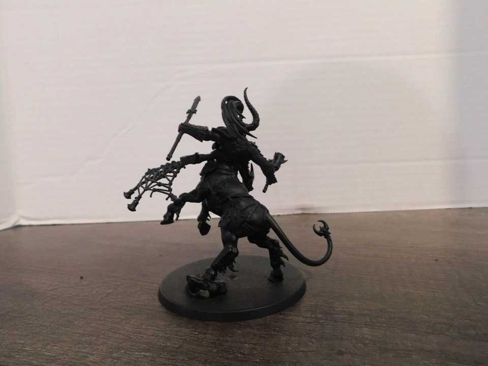 Centaurion Marshal - Warcry - Warhammer Age of Sigmar Construido Foto 2 de 2