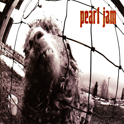 Pearl Jam VS 12