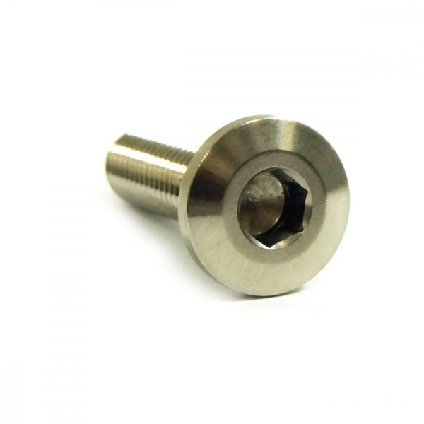 Schraube Bremsscheibe Vorne M8X1.25 30Mm FüR Kawasaki Z 750 GP Bj. 1982-image