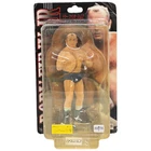 Dorry Funk FIGURE PRO WRESTLING LEGEND AWA NWA AJPW NJPW WWF Polystone Figure