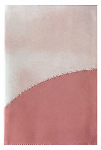 Holman CSB Rainbow Bible; 2017; Pink Leather Touch; 10 Point Font - Imagen 2 de 6