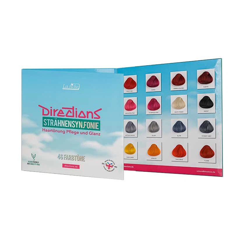 Directions Farbkarte 46 Farbtöne alle Nuancen Neu 2025 La Riche