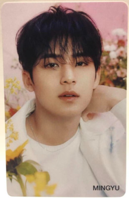 SEVENTEEN 7thチャーム　MINGYU SEVENTEEN's Mingyu Shines with Radiant Charm #DownloadNow
