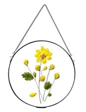 Handmade Glass Frame for Pressed Flowers, Wall Hanging 11.8L" x 11.8W" Black