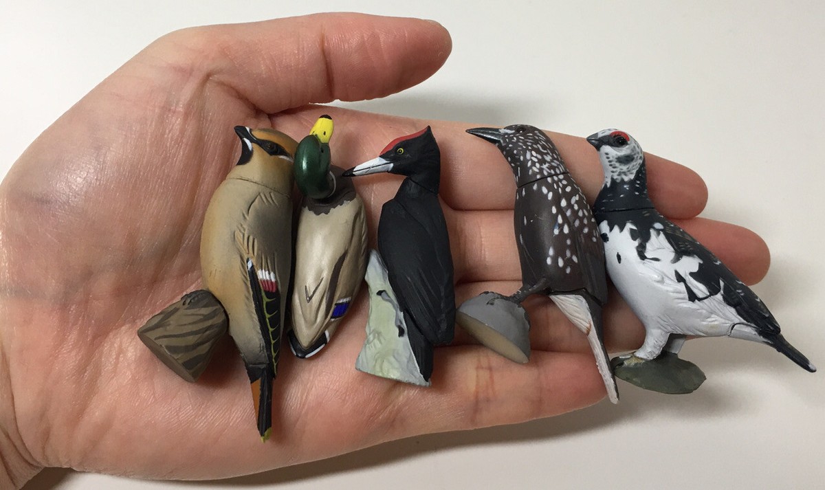 Japan Exclusive Kaiyodo Furuta Birds Set of 5 Figure A | eBay