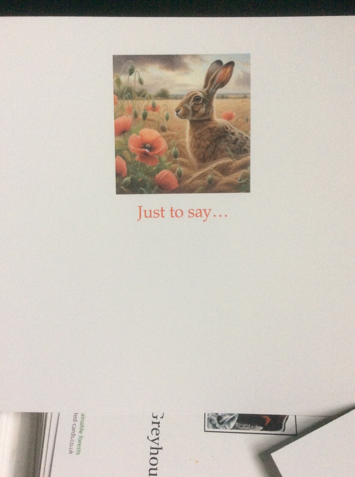 Picture 2 of 2