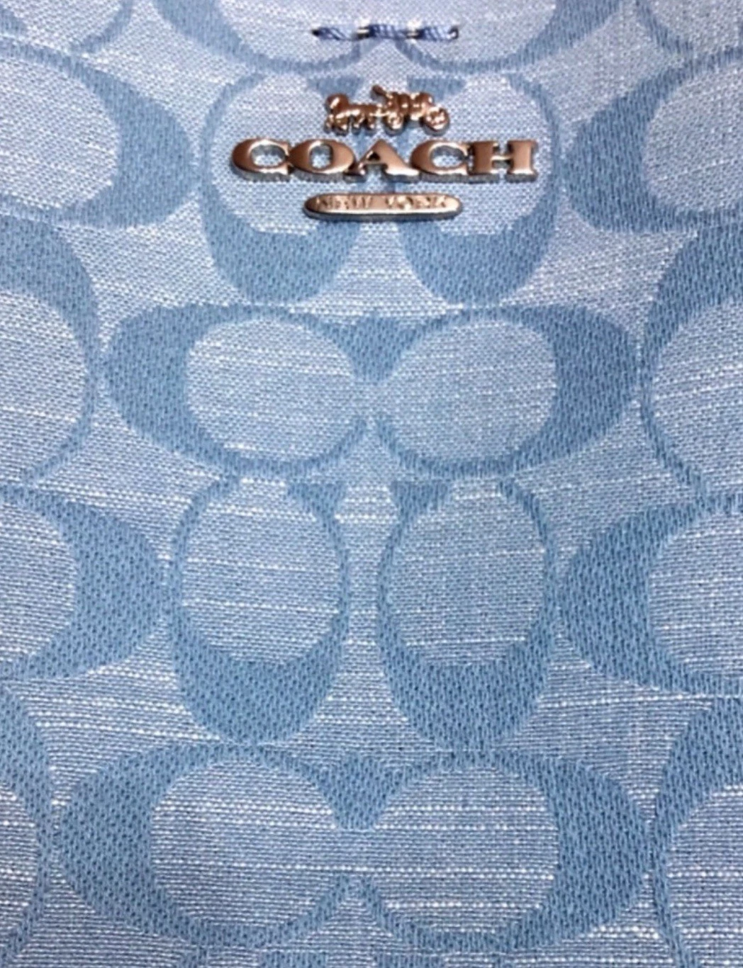 COACH CH230 BORSA A SECCHIELLO MOLLIE IN ARGENTO CHAMBRAY FIRMATO FIORDALISO MULTI