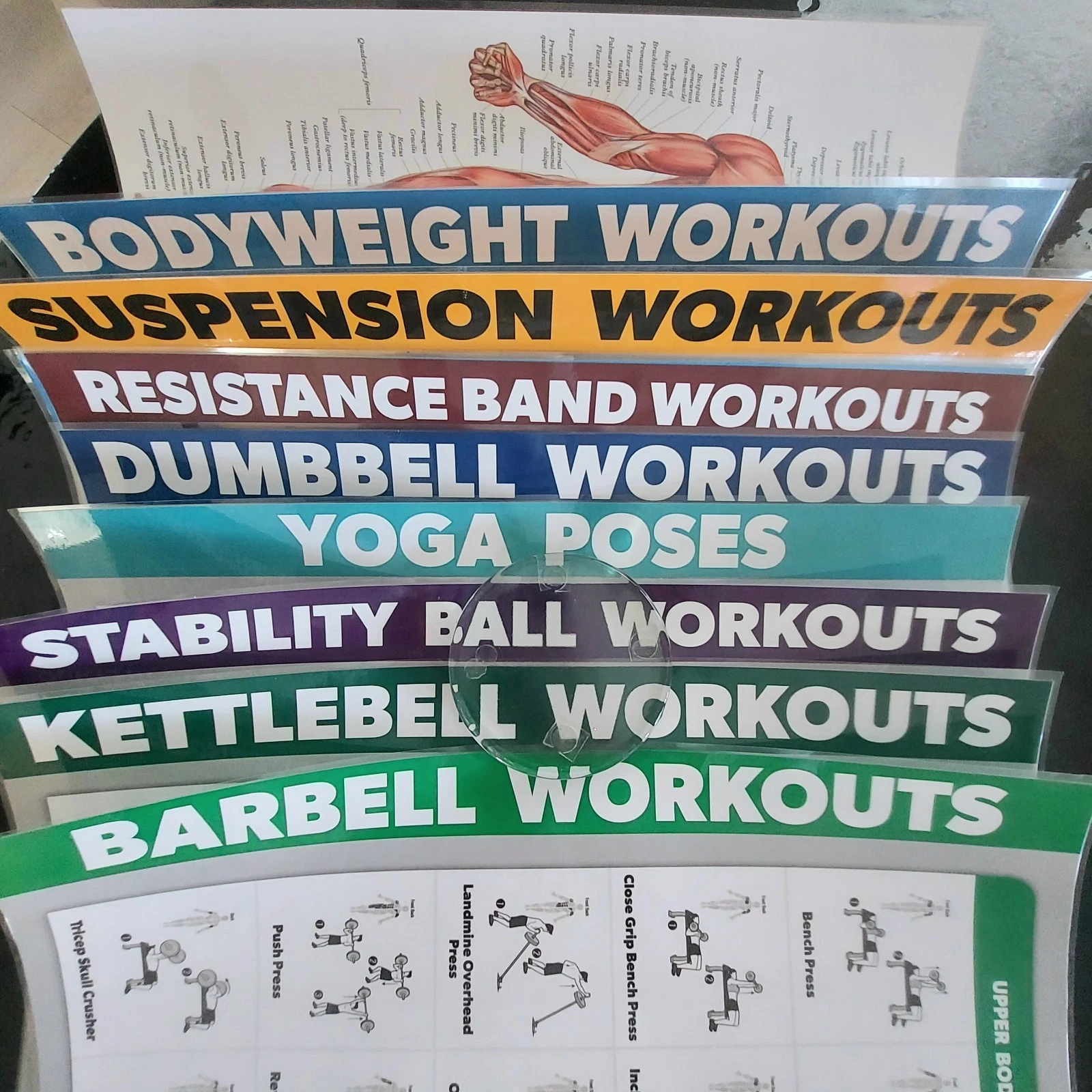QUICKFIT WORKOUT Exercise Posters Set of 10 Double Sided (Laminated 26"x18")