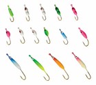 15 Pc Eagle Claw Ice Fishing Slicker Kit With 1/64 & 1/24 oz Tin Jigs 15Slnl