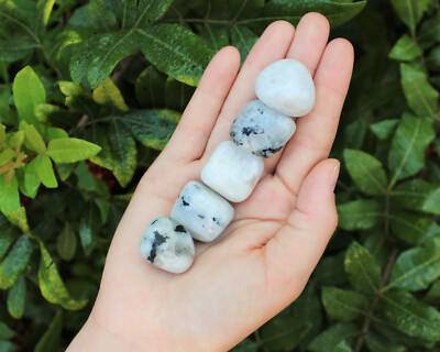 5 Rainbow Moonstone Tumbled Stones: 'A' Grade Natural Polished Crystals