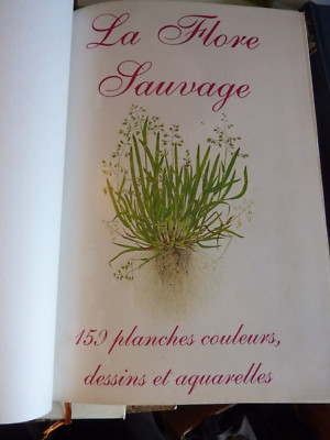 Die wilde Flora * 159 Farbtafeln Zeichnungen und Aquarelle *