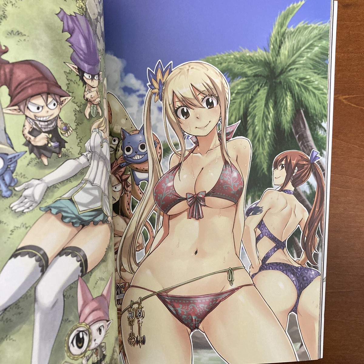 HARVEST FAIRY TAIL ILLUSTRATIONS 2 Hiro Mashima Art Book