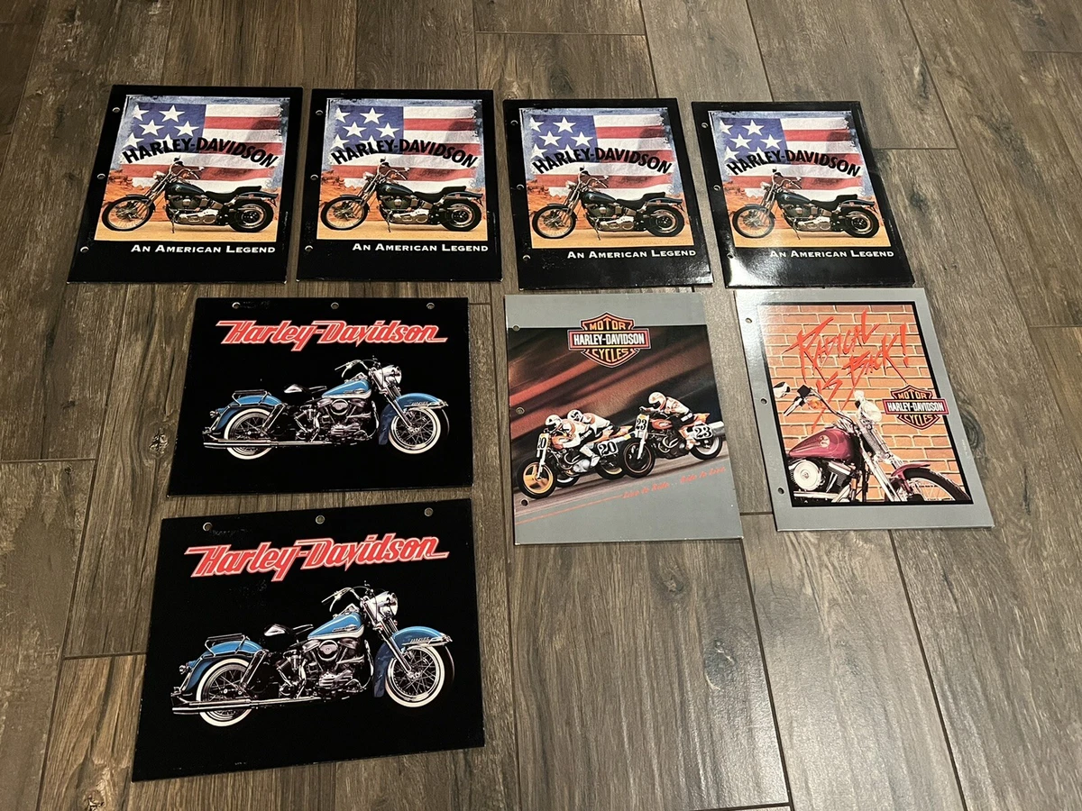 Village motorcycles sale ebay