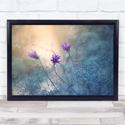 Lila Blumen Bokeh Floral Garten Licht Sonnenlicht Wandkunstdruck
