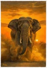 original painting 24x34 cm 64SkS oil atmospheric elephant, ruler of the savanna