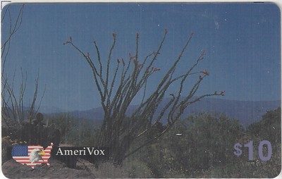 TK 55a Telefonkarte/Phonecard USA Amerivox $10 Ocotillo Cactus At Dusk 