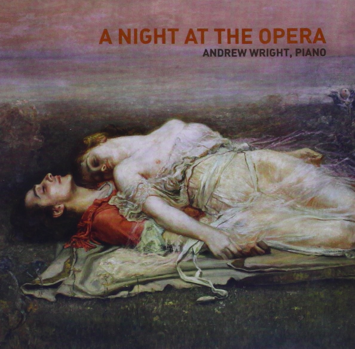Райт Эндрю Ночь в опере (CD)