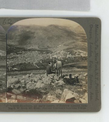 Shechem Centre Hebrew History from Mount Ebal Keystone Stereoview