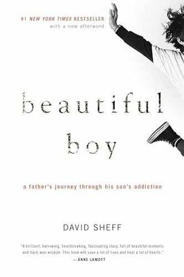 Beautiful Boy: A Heartbreaking Story - Paperback, by Sheff David - Very Good j