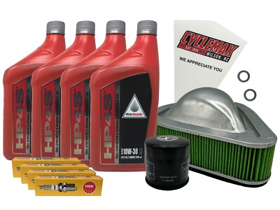 Cyclemax FS Tune-Up Kit fits 2010-2025 Honda VT 1300 VT1300 Fury Sabre w/ Plugs