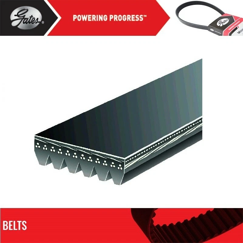 Puertas de cinturón Serpentine para Chevrolet Express 4500 V8-6,0 L 2014-2016 Foto 2 de 4